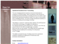 opexinc.com