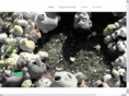 playgroundartstudios.com