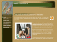 travellerstop10.com