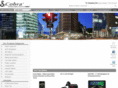 cobraelectronics.biz
