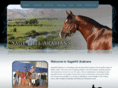 sagehillarabians.com