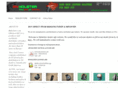 leatherholster.us
