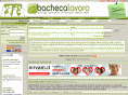 bachecalavoro.com