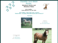 chantillylacewelshponies.com
