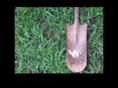 diggahole.com