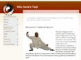 traditionaltaiji.com