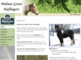 walnutgrovehaflingers.com