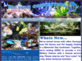 fishconnectiononline.com