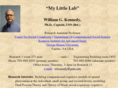 mllab.com