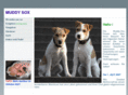 muddy-sox.org