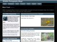 wildlife-photography-blog.com