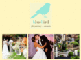 bluebirdplanning.com