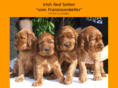 irish-setter.net