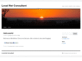 localnetconsultant.com