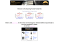 spanring-forster.com