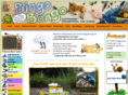 bingobongo.at