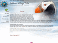 seldoviavillagetribe.com