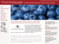 tulleyandholland.com