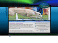 abettercanine.com