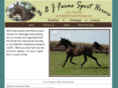 bjfarmssporthorses.com