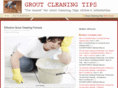 groutcleaningtricks.com