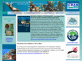 icran.org