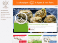 ideechampignon.be