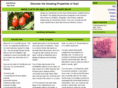 gojiberriesjuice.com