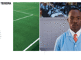ruyteixeira.com