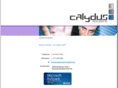 solutionscalydus.com