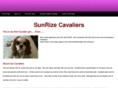 sunrizecavaliers.com