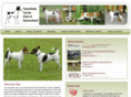 tenterfieldterriers.org