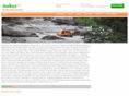 ankurgroups.com
