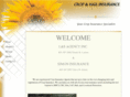 lsagencyinc.com