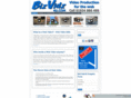 bizvidz4u.com