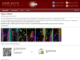 deepbytestudios.com