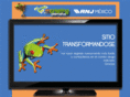 mktingalternativo.com