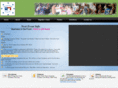 officialbackyardolympics.com