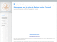 reimsjuniorconseil.com