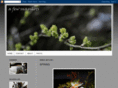 afewsnapshots.com