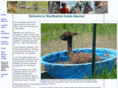 bigmeadowcreekalpacas.com