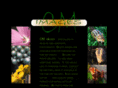 cm-images.com