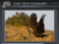 kadirdabak.com
