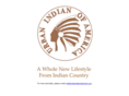 urbanindianofamerica.com