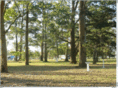 campingfazendacarla.com