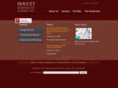 doucetremodeling.com
