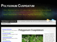 polygonum-cuspidatum.com