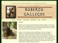 robertogallegos.com