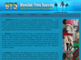 btsbd.com