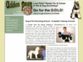 goldenpawspittsburghpa.biz